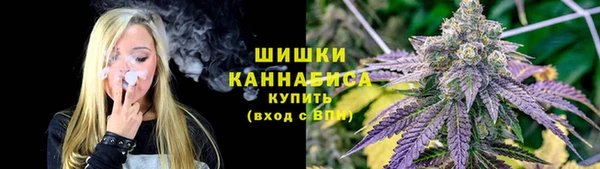 твердый Горно-Алтайск