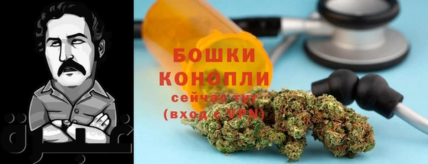 mdpv Горнозаводск