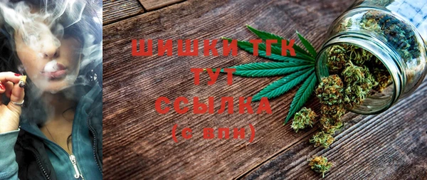 mix Горняк